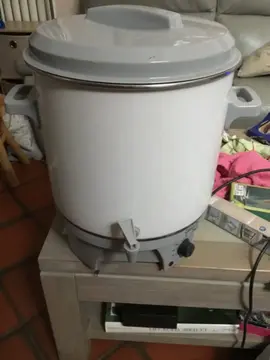stérilisateur électrique
