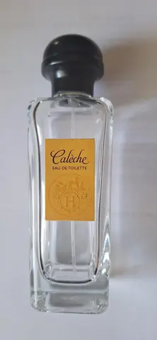 Flacon de parfum vide collection ou réduction