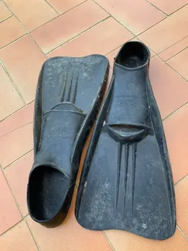 paire de palmes taille 38-39