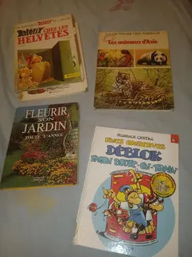 meubles et Lot de livres