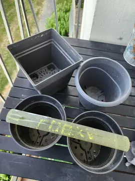 plusieurs pots