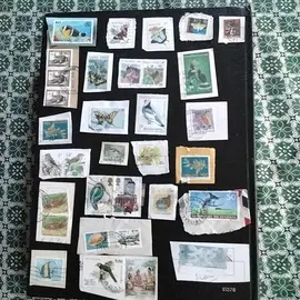 donne timbres collection étrangers annimaux 1lot 1envoie