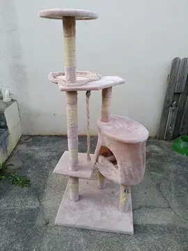 Arbre à chat