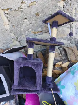 arbre à chat bon état