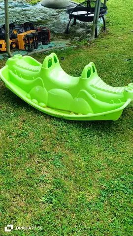 crocodile a bascule
