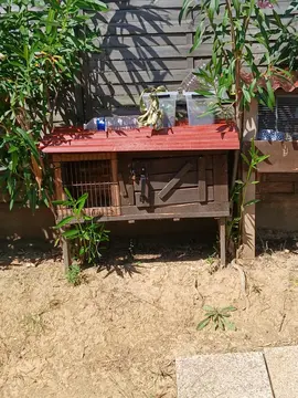 deux clapier fait maison
