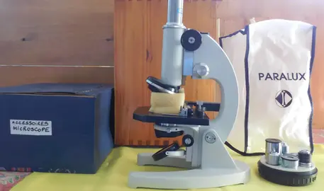 Microscope