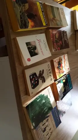Lot de livres