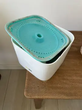 fontaine pour chat