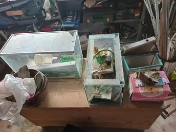 4 aquarium