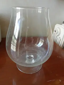 Vase verre pour plante 20 cm hauteur.