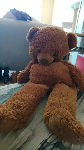 ours en peluche