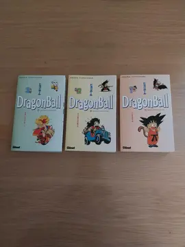 livre " Dragon Ball "
