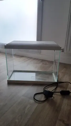 aquarium blanc