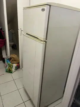 frigo