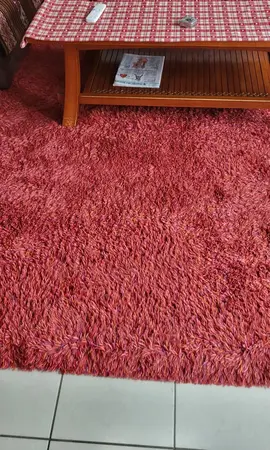 tapis salon à poils 200X230