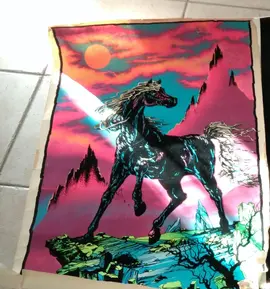 Poster velours