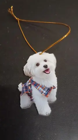 Petit pendentif