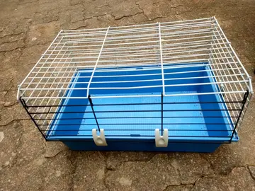 cage à rongeur