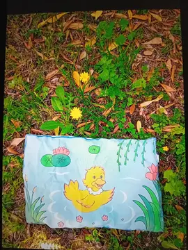 coussin bébé