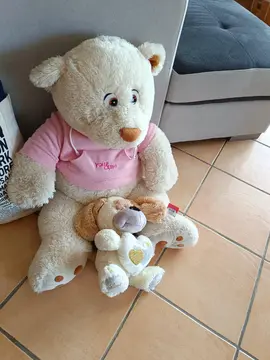 Lot de deux Ours Peluche