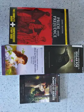 lot de livres en anglais et bilingue anglais