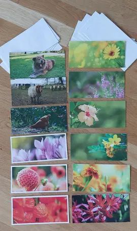 cartes et enveloppes