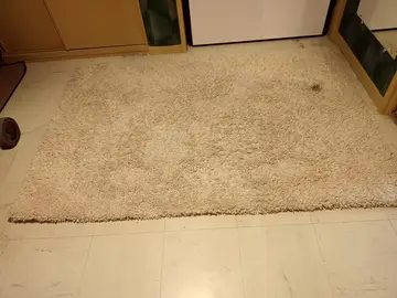 tapis Shaggy 120 x170