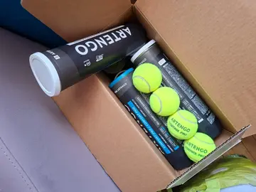 Balles de tennis usées pour chiens