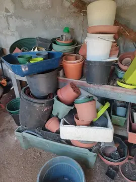 pots de fleurs