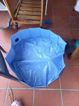piscine pour chien neuf avec sont carton d origine