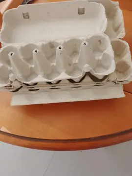 boîtes d'oeufs