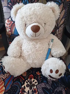 nounours