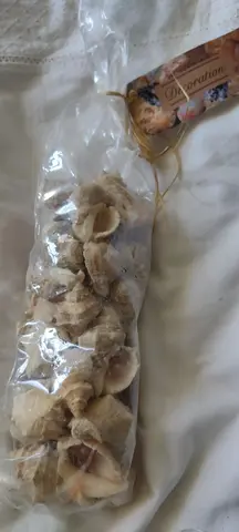 Coquillages (vrai )pour décoration