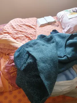 vêtements , manteau et blouson