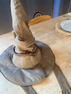 chapeau Harry potter