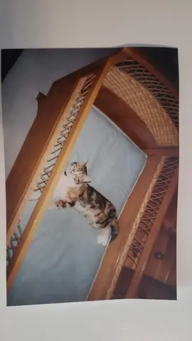 lit enfant année 1970