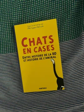 Chats en cases