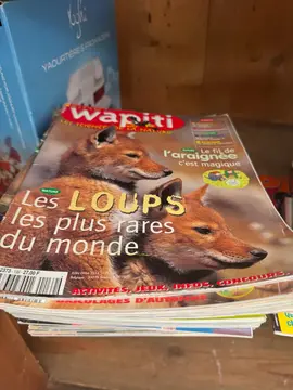 lot de revues Wapiti