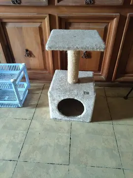 arbre à chat