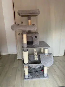 arbre à chat