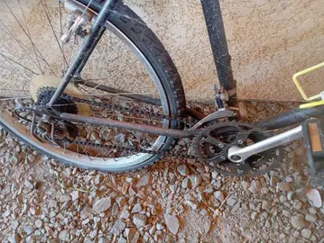 Velo Adulte