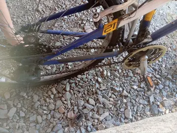 Velo Adulte/Ado