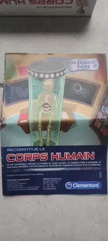 jeux maquette du corps humain