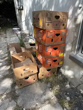 cartons de déménagement