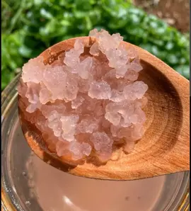 Graines de kéfir de fruits