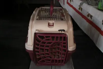 panier de tansport/chat