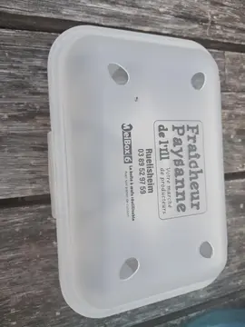 boîte à oeufs
