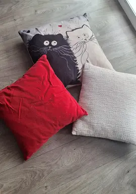 lot coussin