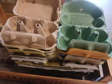boîtes à œufs